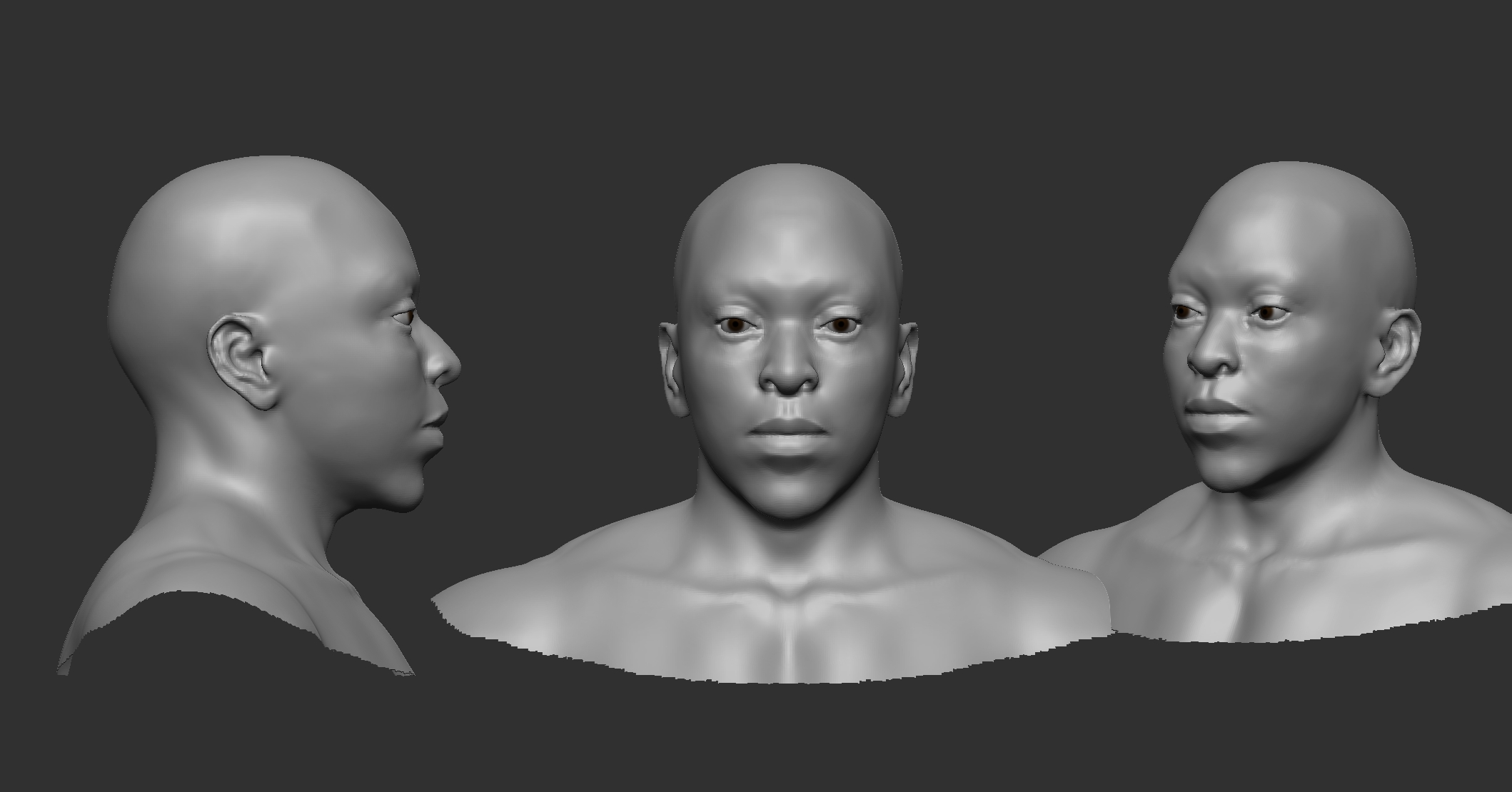 Self Study v2 — Anatomy Study